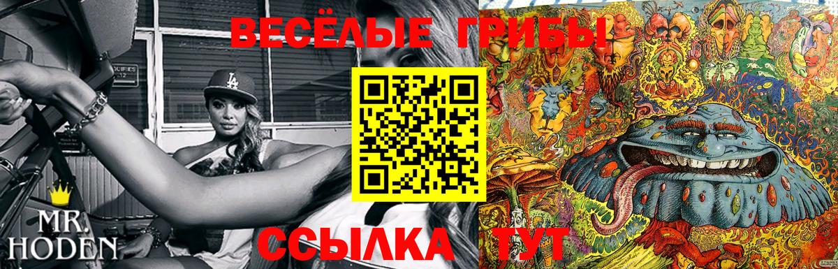 Псилоцибиновые грибы Psilocybe Севастополь