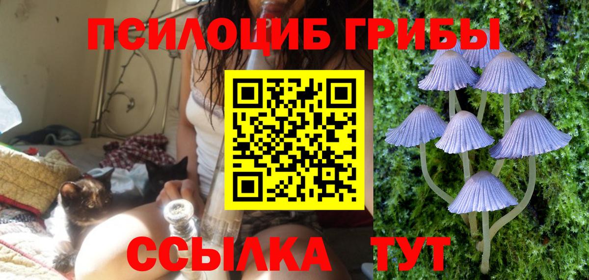 Севастополь  Галлюциногенные грибы прущие грибы  Галлюциногенные грибы MAGIC MUSHROOMS  Вход с VPN 